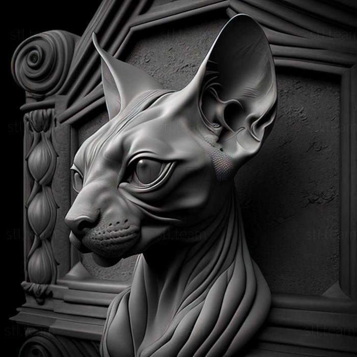 Sphynx cat